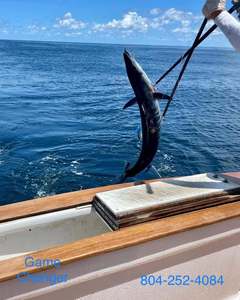 Oregon Inlet: Home to Trophy Catches!